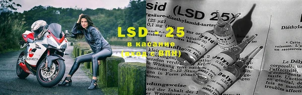 стаф Краснослободск