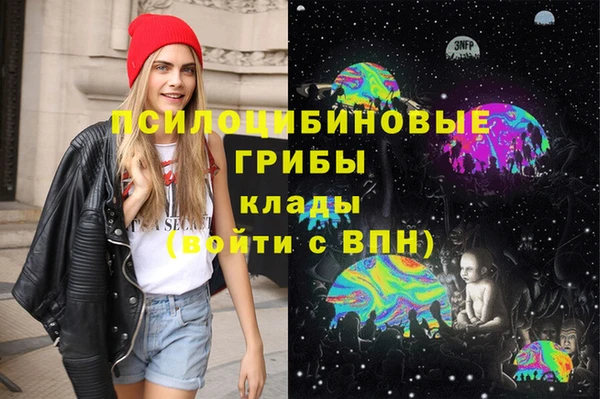 spice Куйбышев