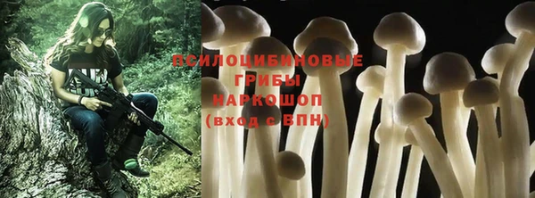 молекула духа Кулебаки
