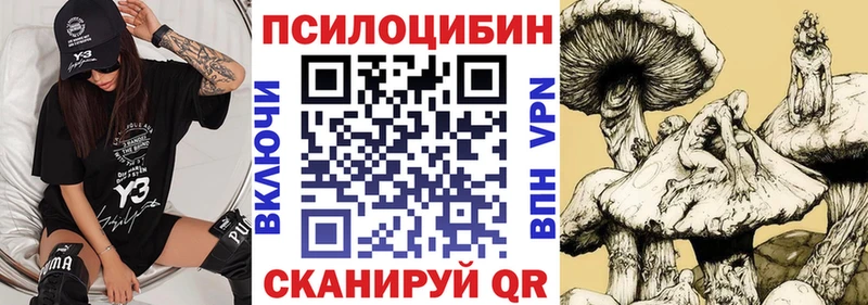 Псилоцибиновые грибы Psilocybine cubensis Снежногорск