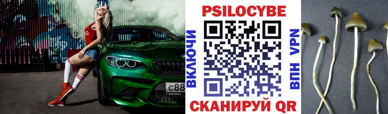 Галлюциногенные грибы Psilocybine cubensis  цена   blacksprut tor  Снежногорск 