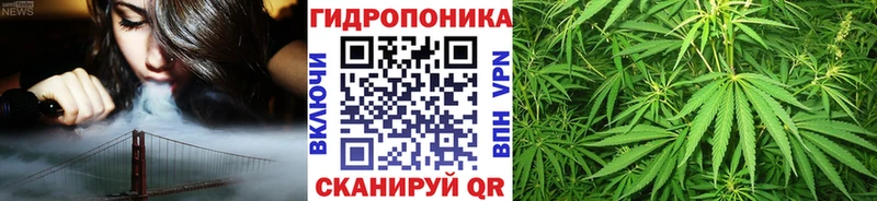 блэк спрут маркетплейс  Снежногорск  Конопля ГИДРОПОН 